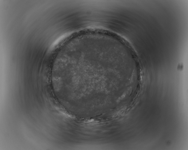 X0000112210919200909041337