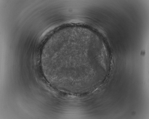 X0000112210920200909041337