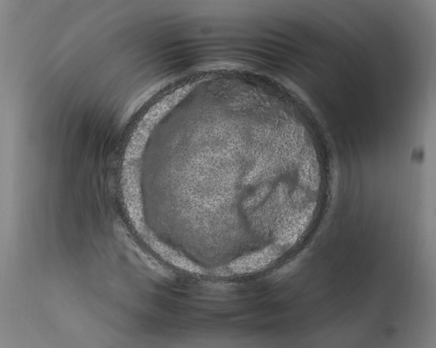 X0000112210921200909041337