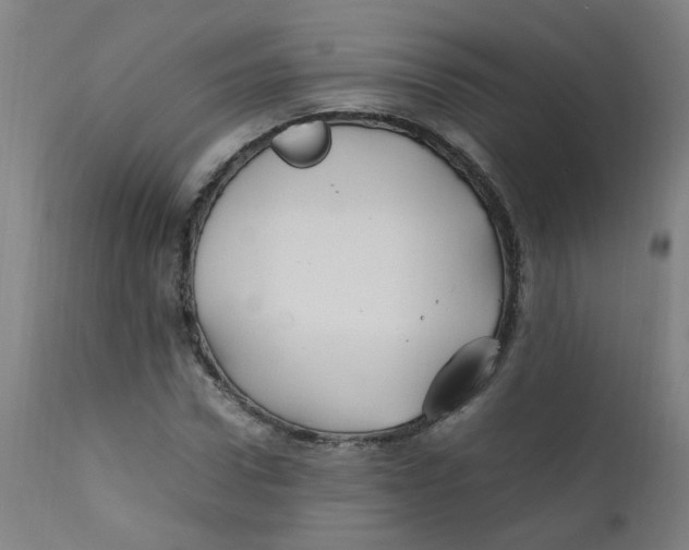 X0000112210922200909041337