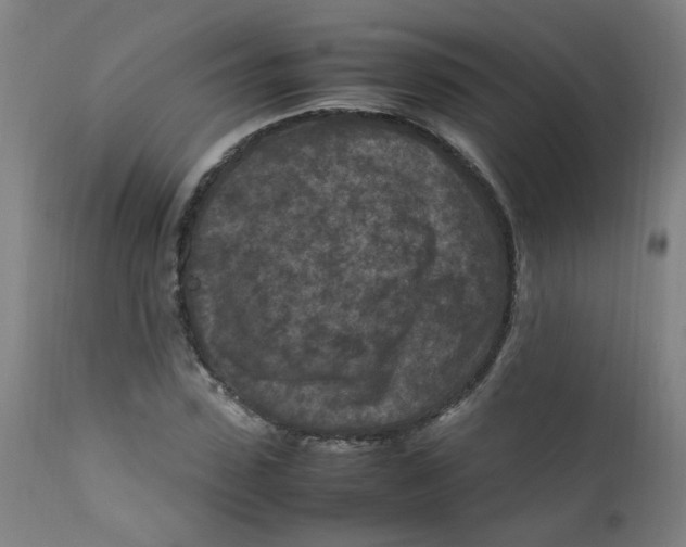 X0000112210923200909041337