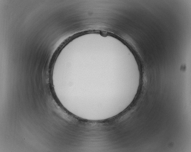 X0000112210924200909041337