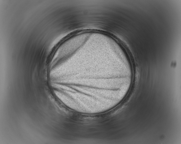 X0000112210925200909041337