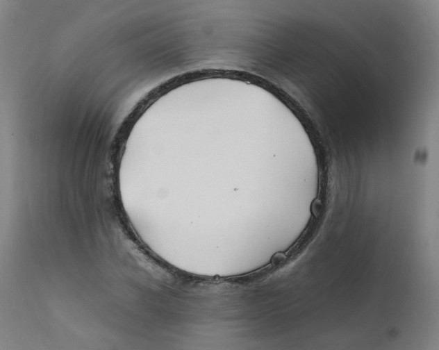 X0000112210926200909041337