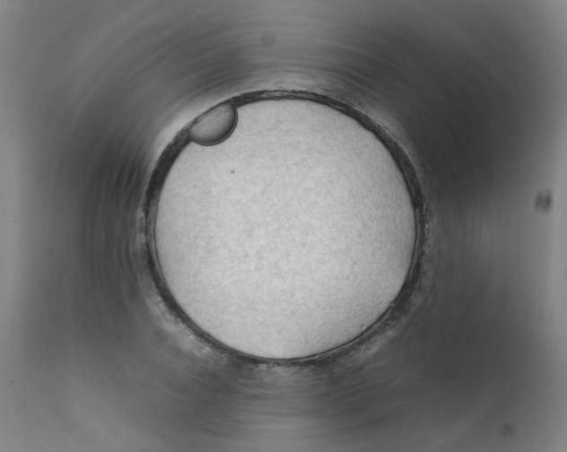 X0000112210928200909041337