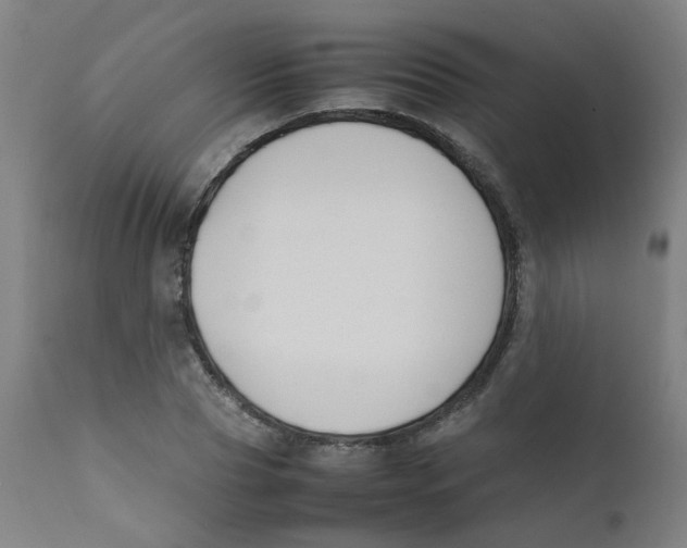 X0000112210929200909041337