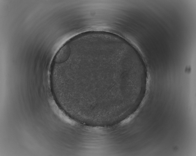 X0000112210932200909041337