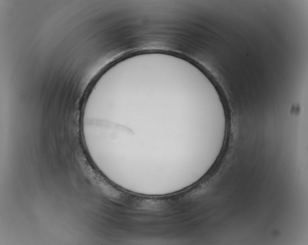 X0000112210933200909041337