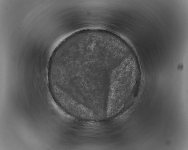X0000112210935200909041337