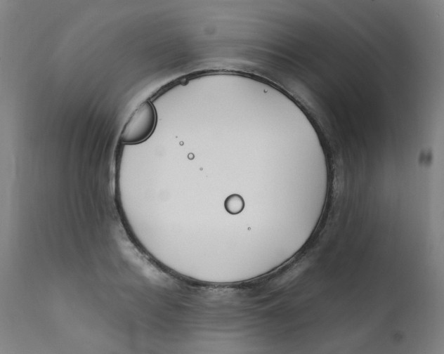 X0000112210940200909041337