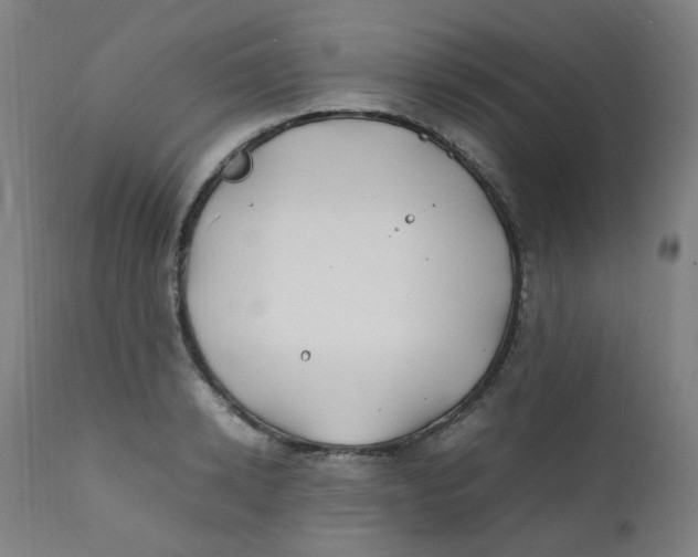 X0000112210942200909041337