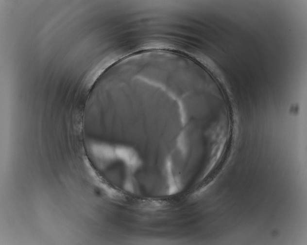 X0000112210945200909041337