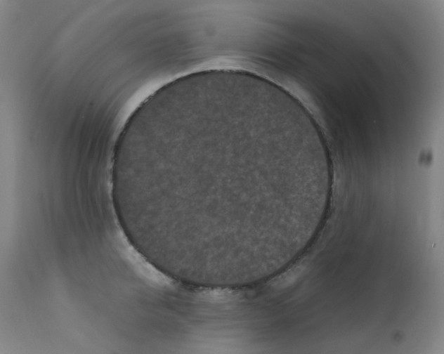 X0000112210950200909041338