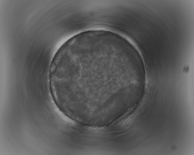 X0000112210951200909041338