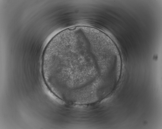 X0000112210955200909041338