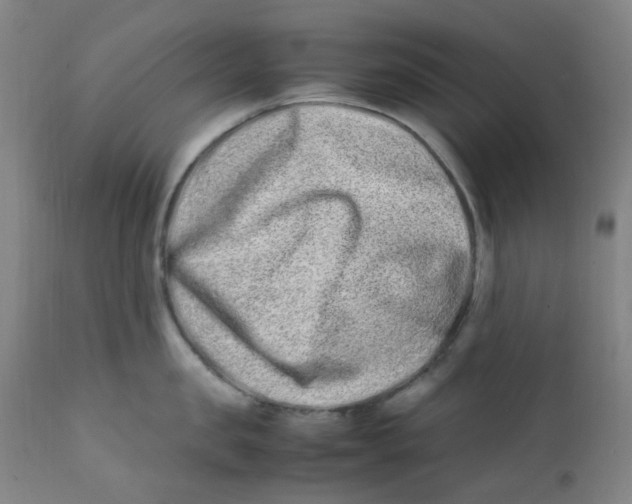 X0000112210957200909041338