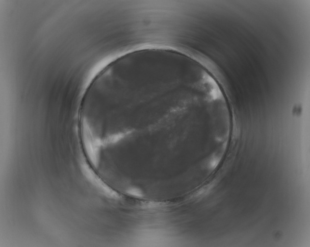 X0000112210958200909041338