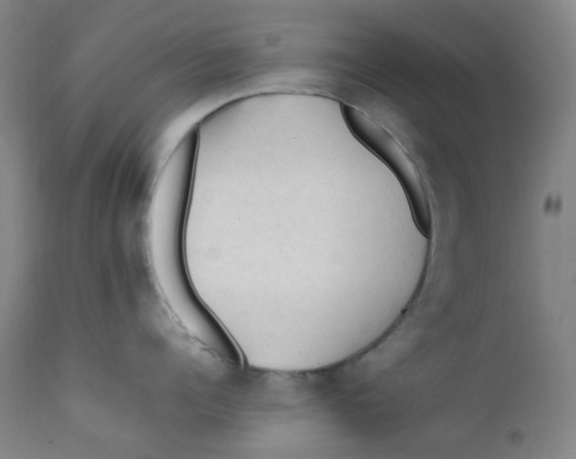 X0000112210960200909041338