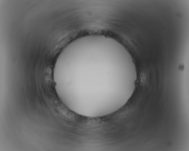 X0000112210964200909041337