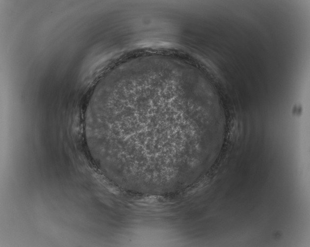 X0000112210966200909041337