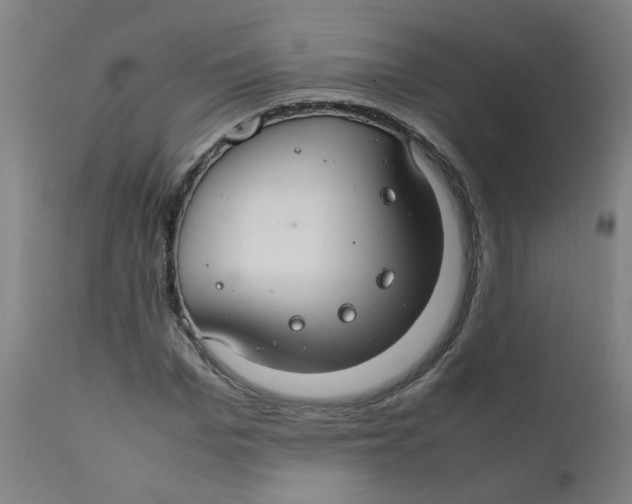 X0000112210969200909041337