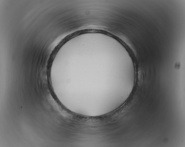 X0000112210972200909041337