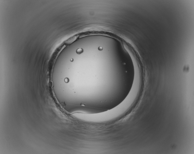 X0000112210973200909041337