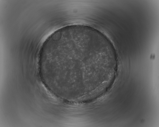 X0000112210975200909041337