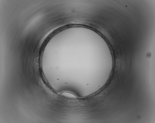 X0000112210976200909041337