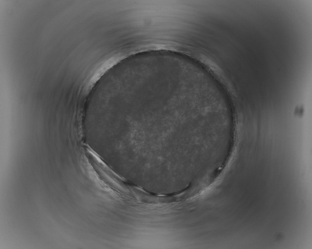 X0000112210977200909041337