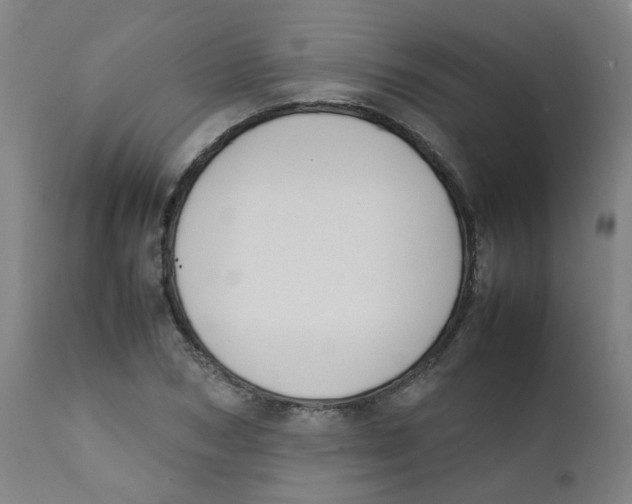 X0000112210978200909041337