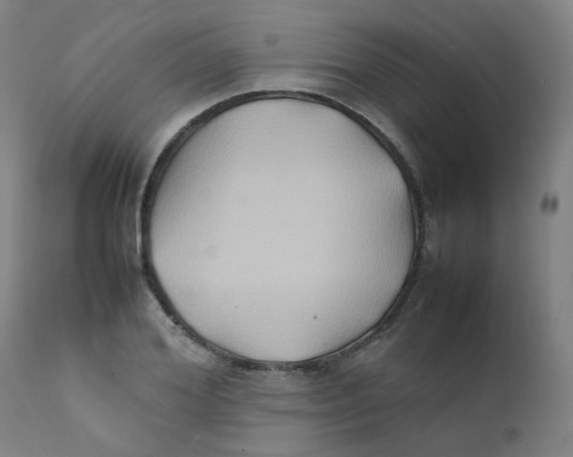 X0000112210980200909041337