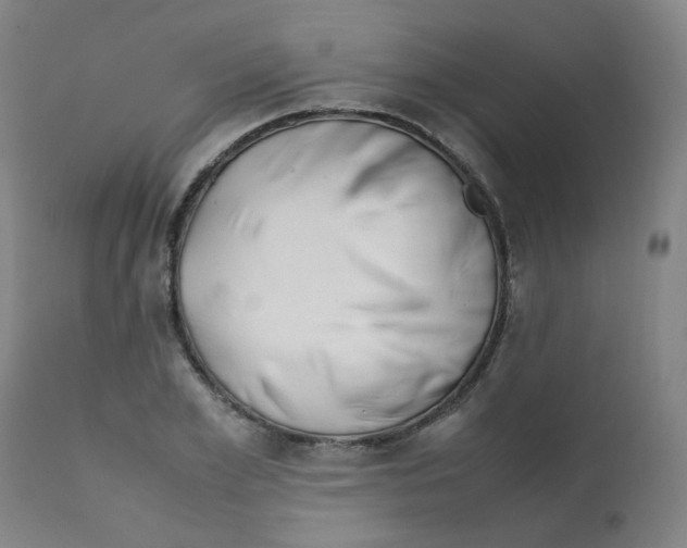 X0000112210981200909041337