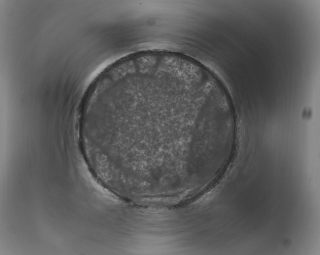 X0000112210983200909041337