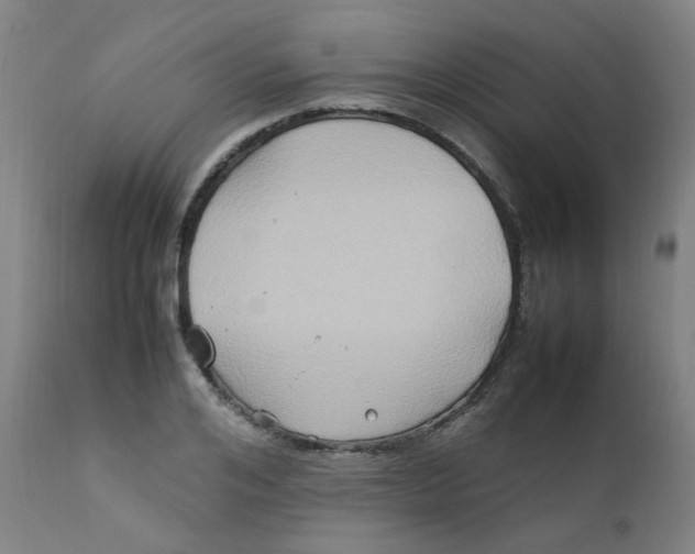 X0000112210984200909041337
