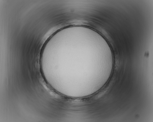 X0000112210986200909041336