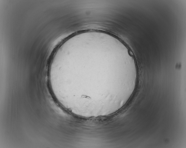 X0000112210987200909041336
