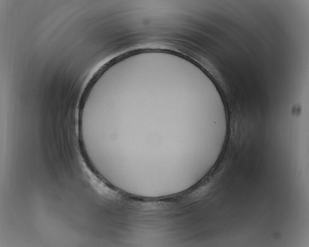 X0000112210988200909041336