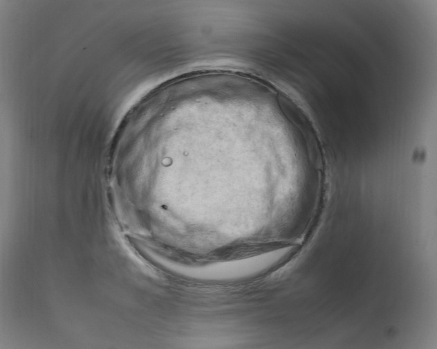 X0000112210989200909041336