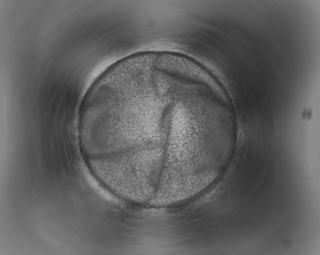 X0000112210990200909041336