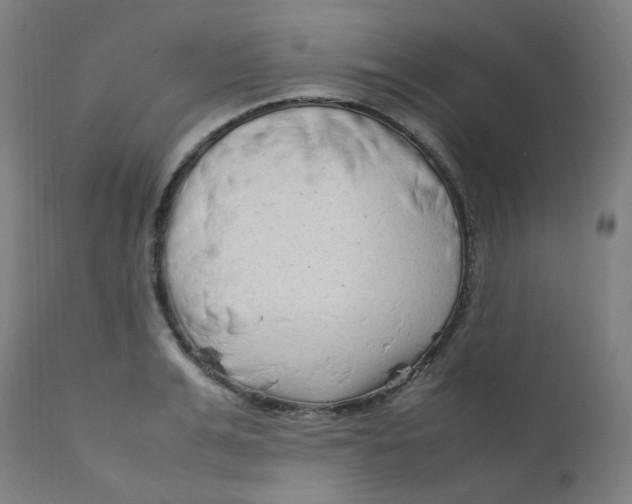 X0000112210991200909041336