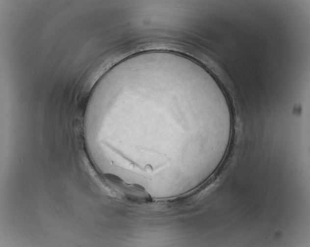 X0000112210993200909041336