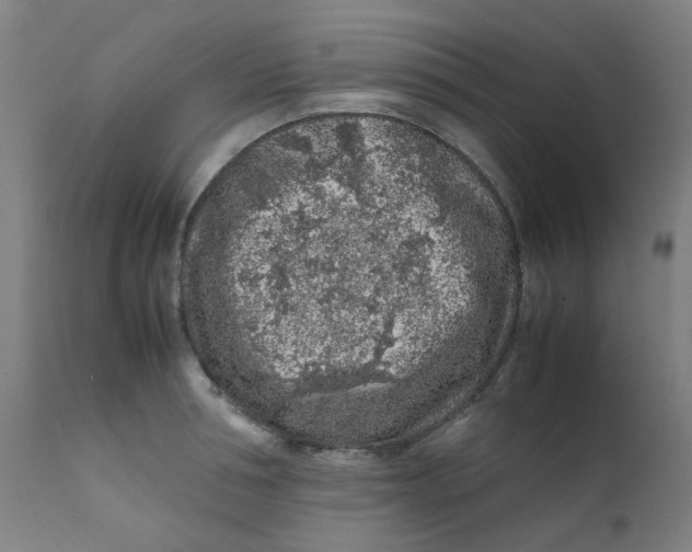 X0000112210994200909041336