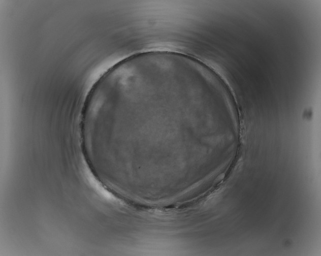 X0000112210995200909041336