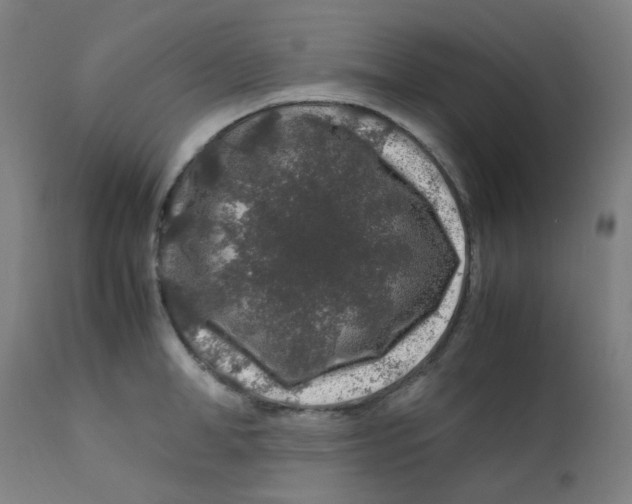 X0000112210998200909041336