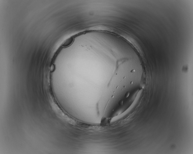 X0000112211000200909041336