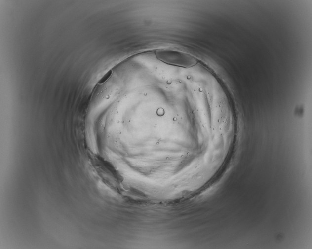 X0000112211001200909041336
