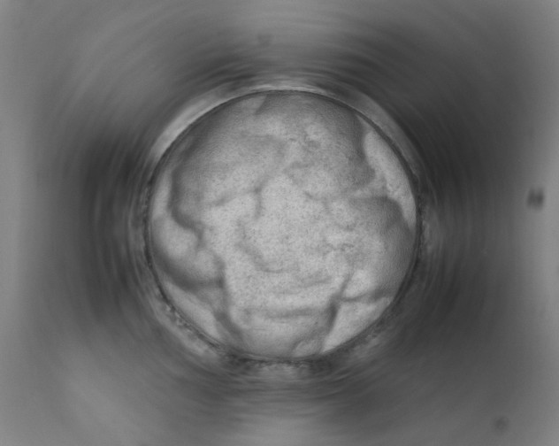 X0000112211002200909041336