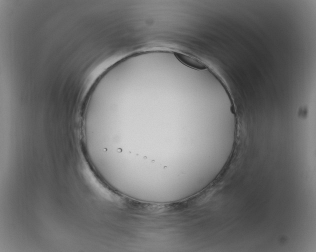 X0000112211003200909041336