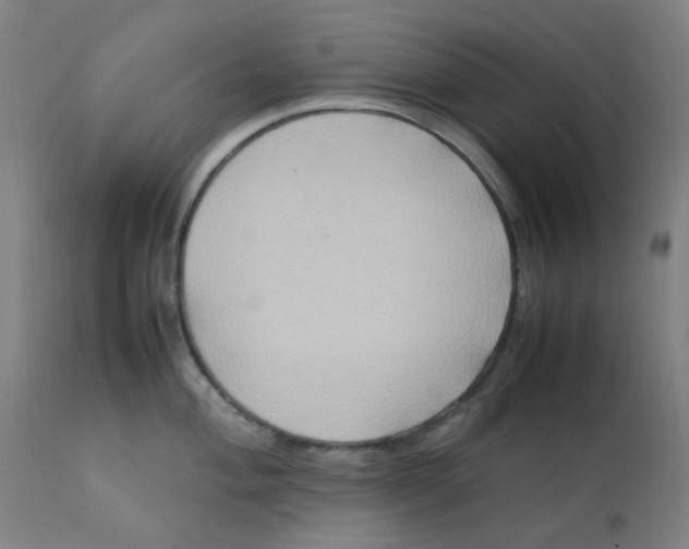 X0000112211004200909041336